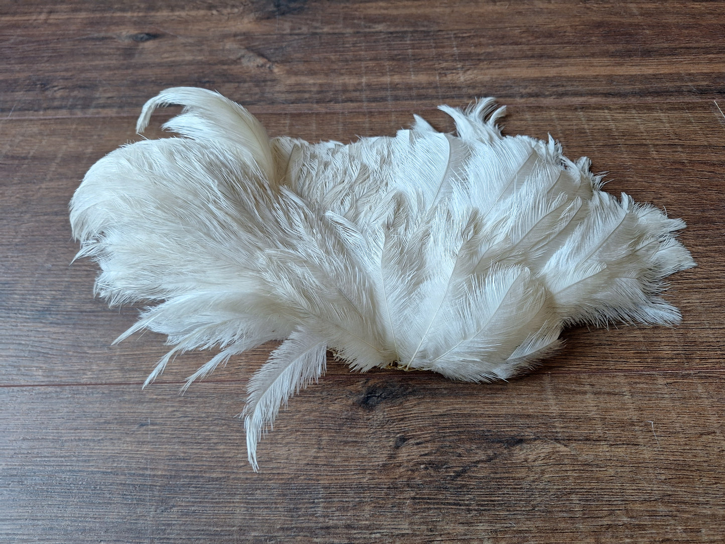 Nandu wing piece, small