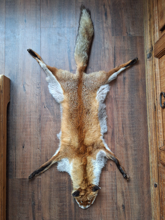 Red fox hide #21