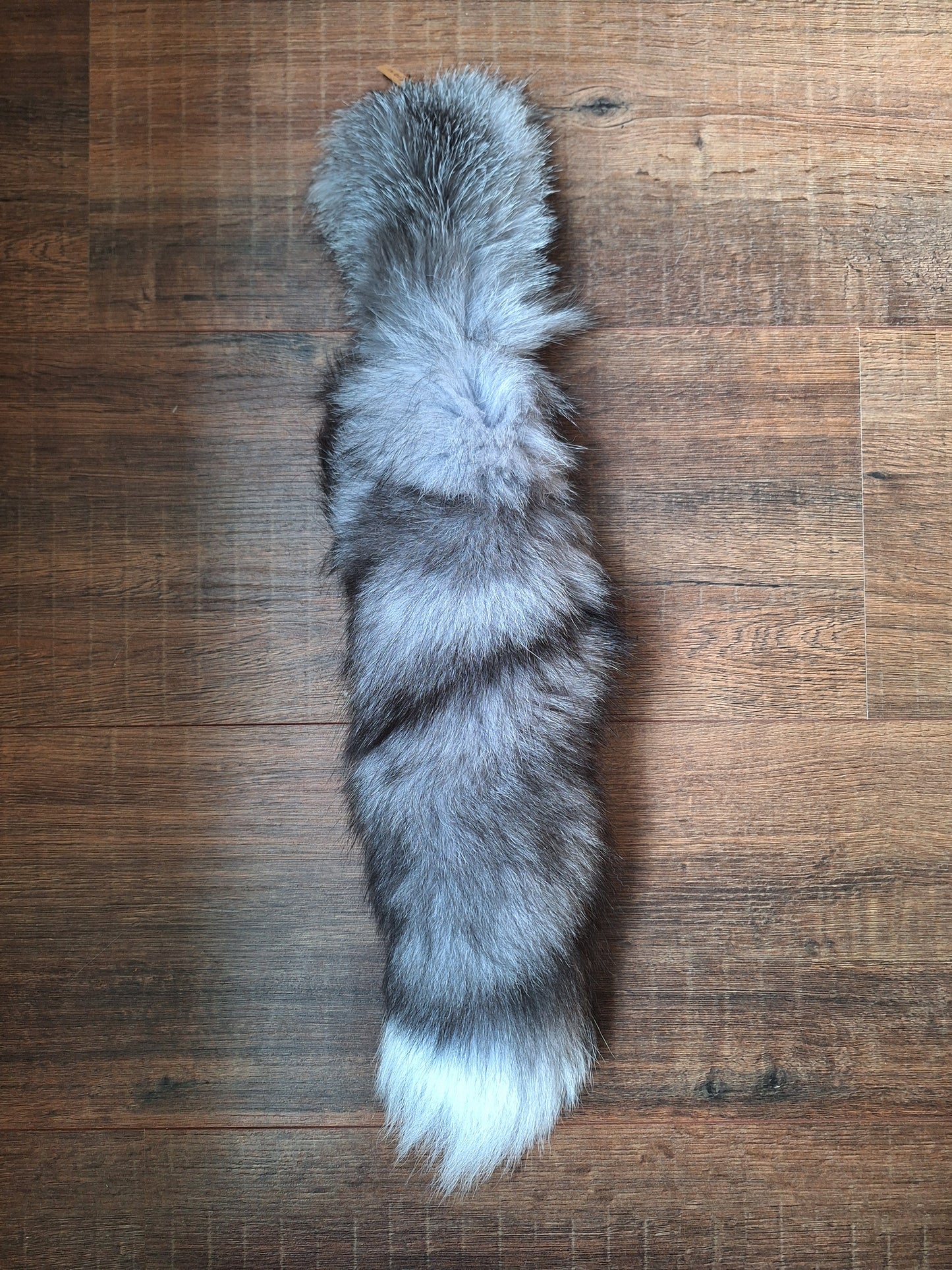 Painted silverfox tails