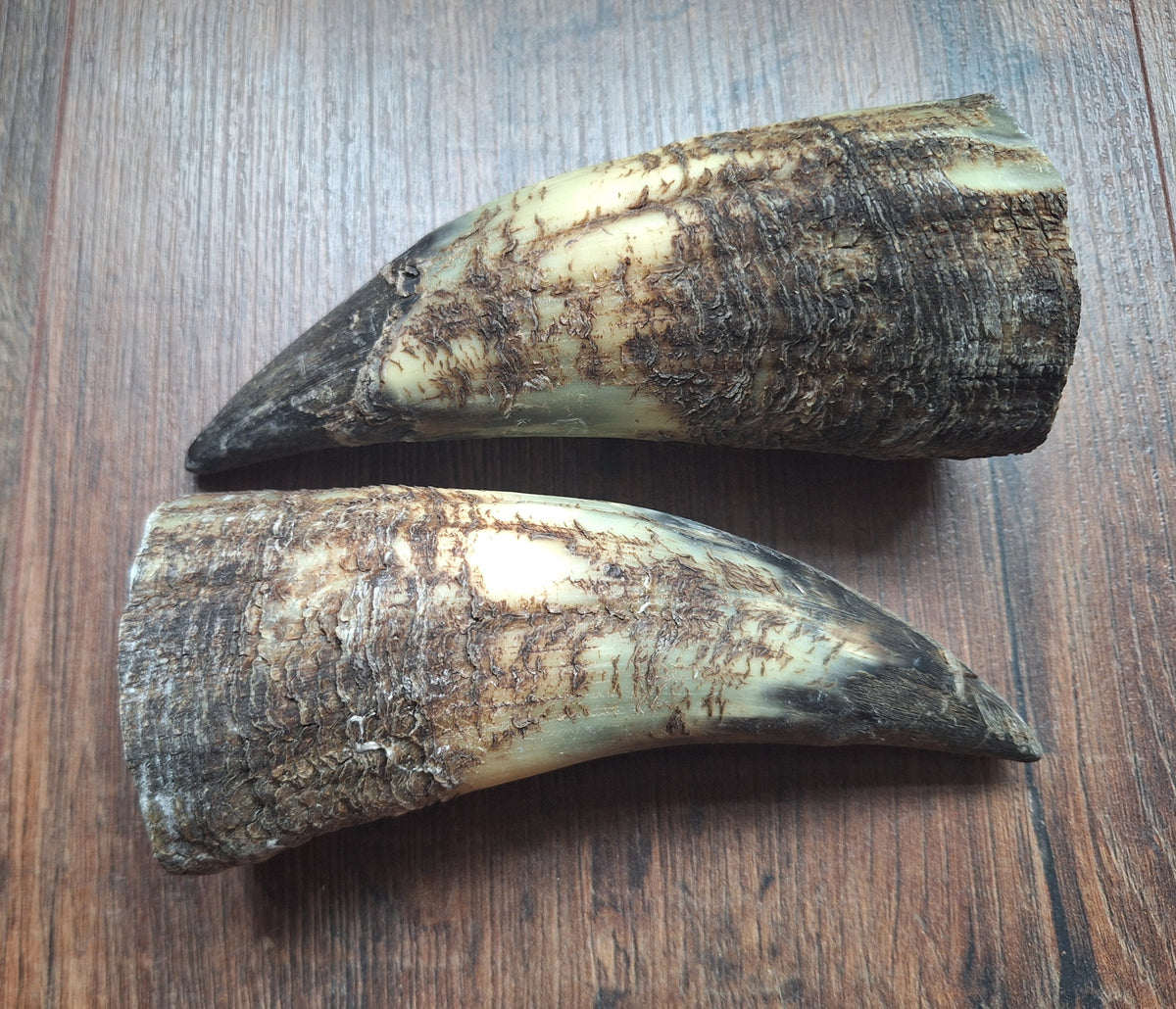Cow horn set