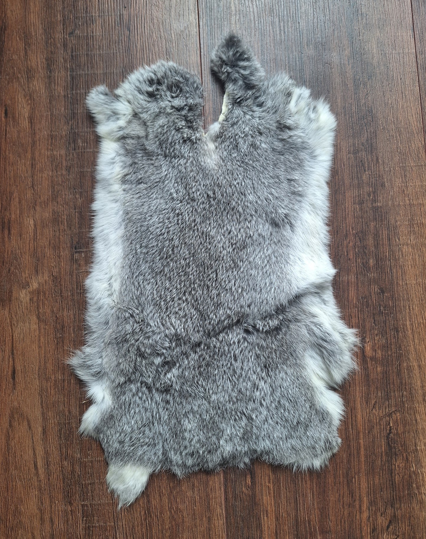Rabbit hide #20