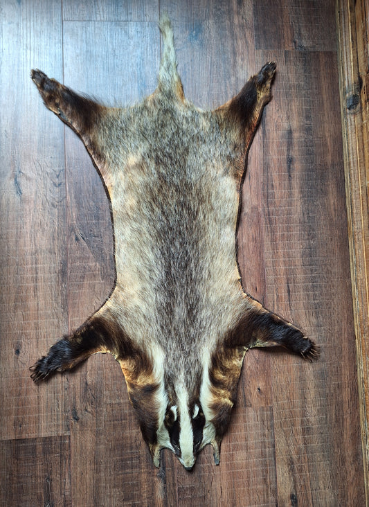 Badger hide #7