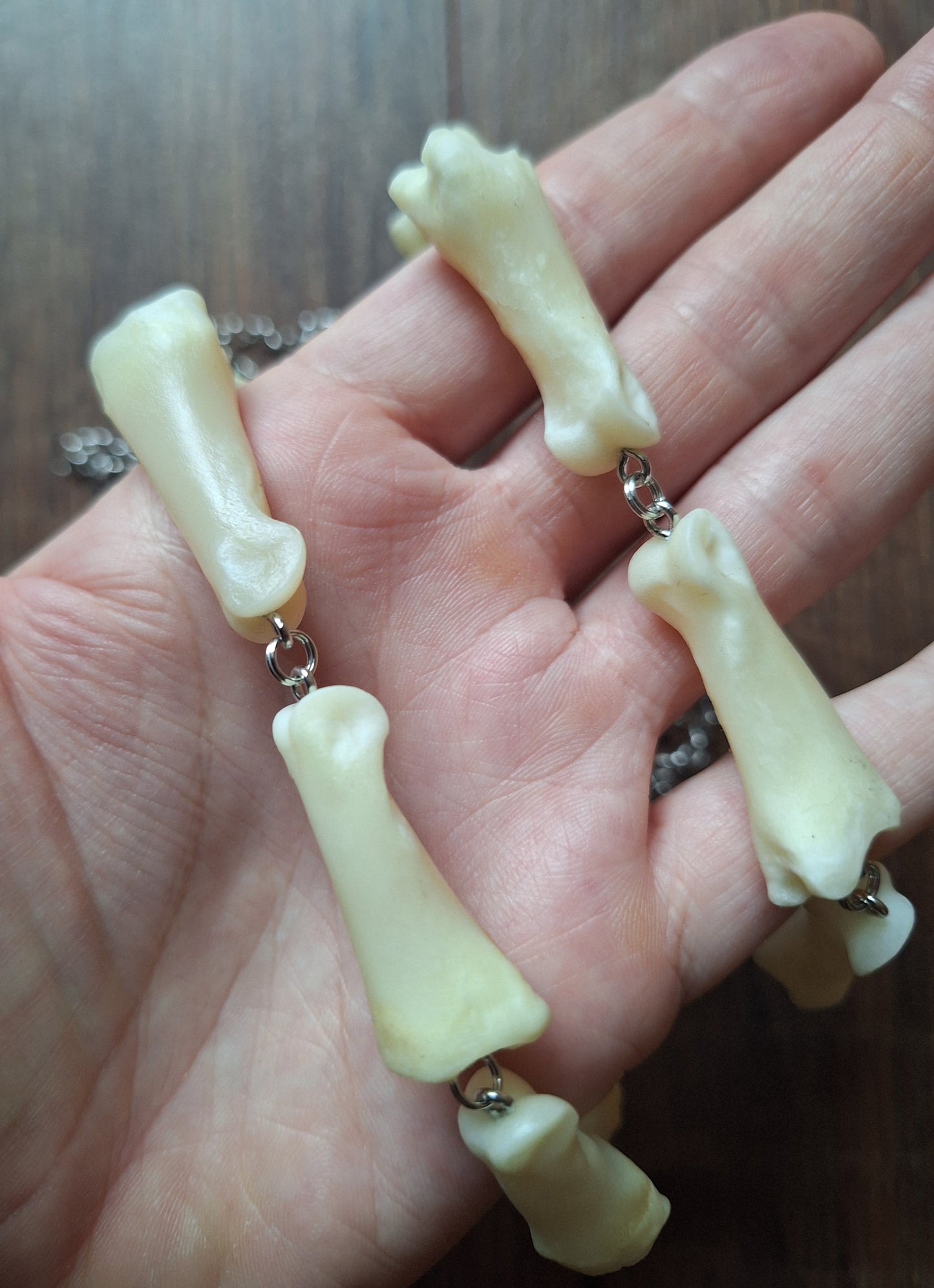Roe deer foot bones amulet necklace