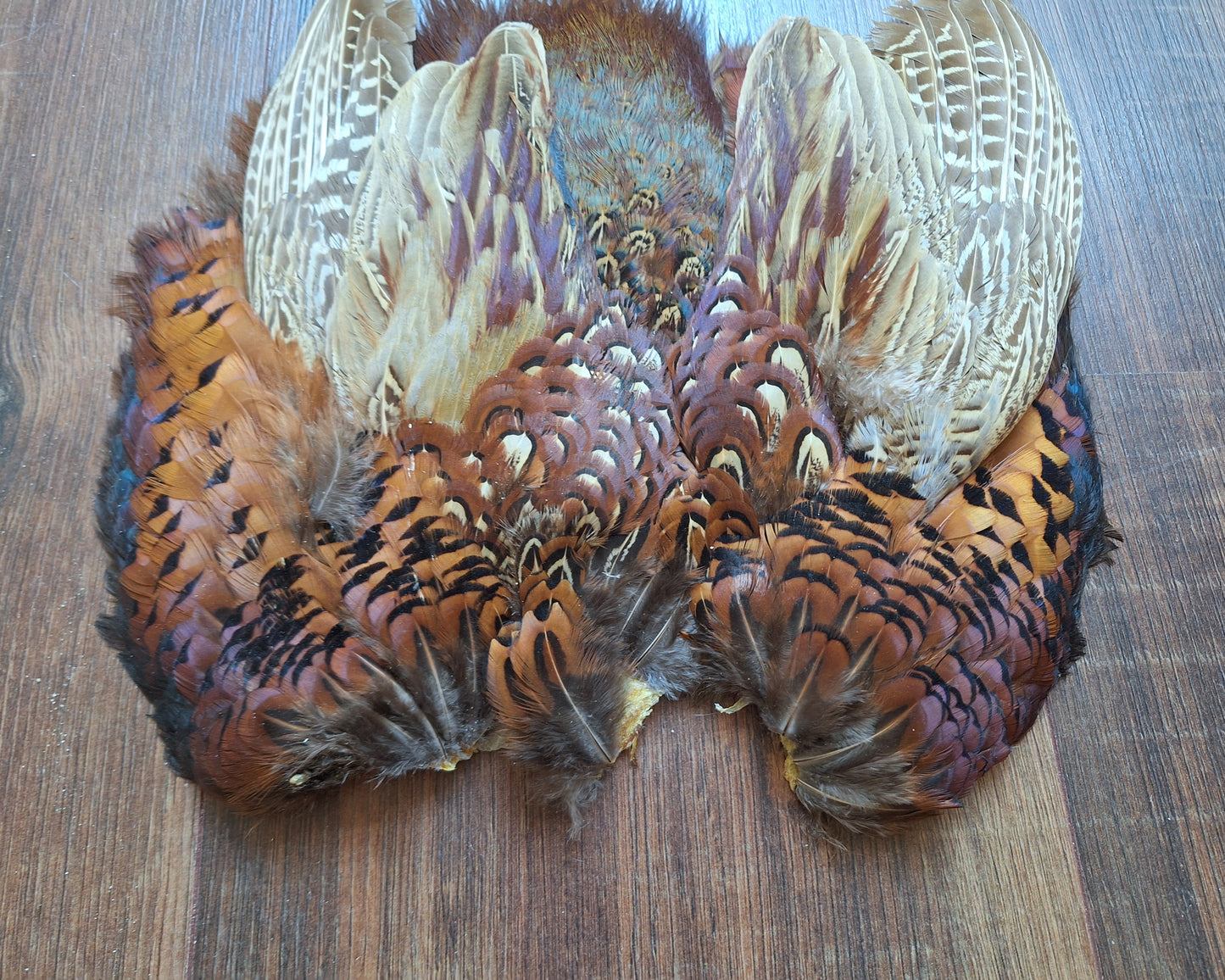 Pheasant skin