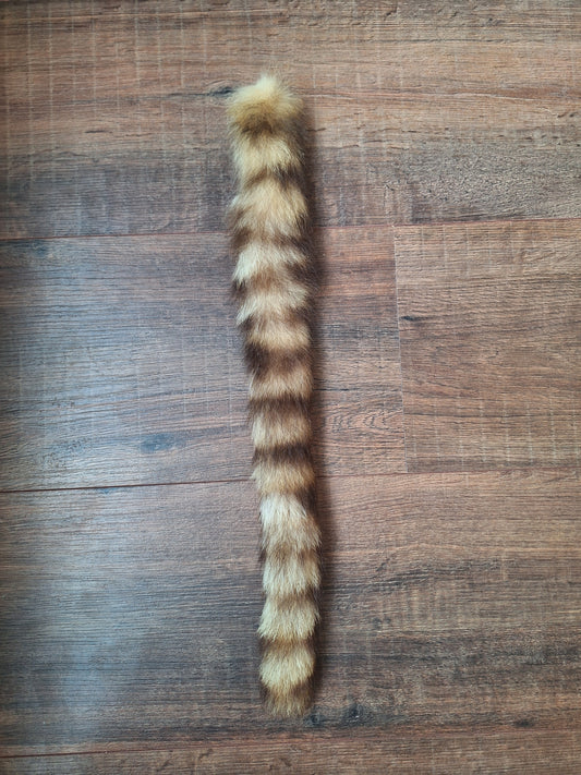 Raccoon tail preparation