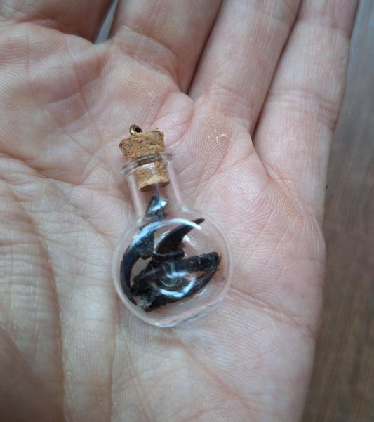 Mini bottle jackdaw nails