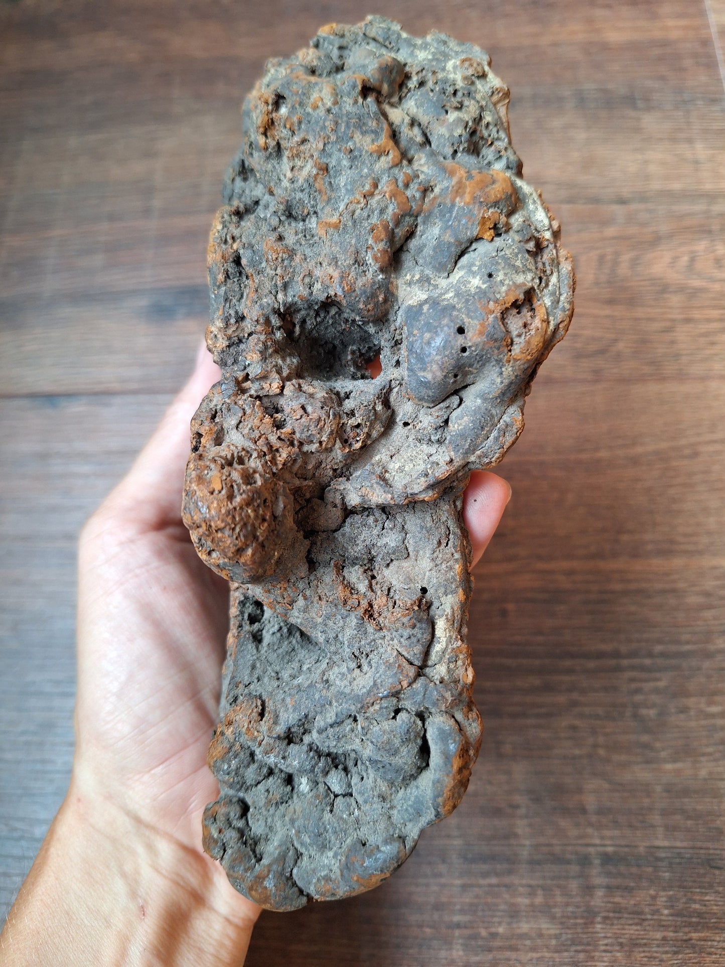 Antique Nepalese mushroom mask #9