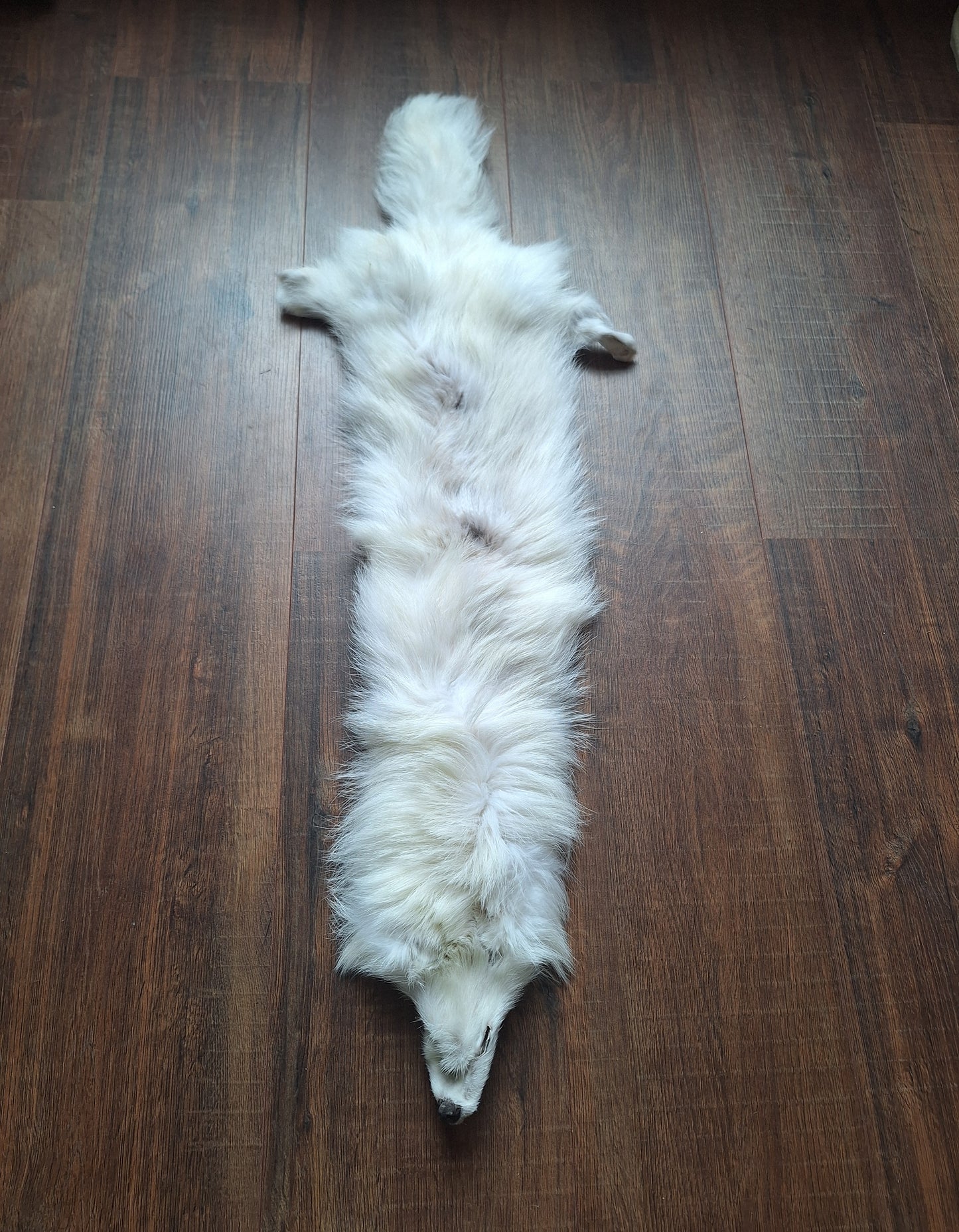 Polar fox hide, B-quality
