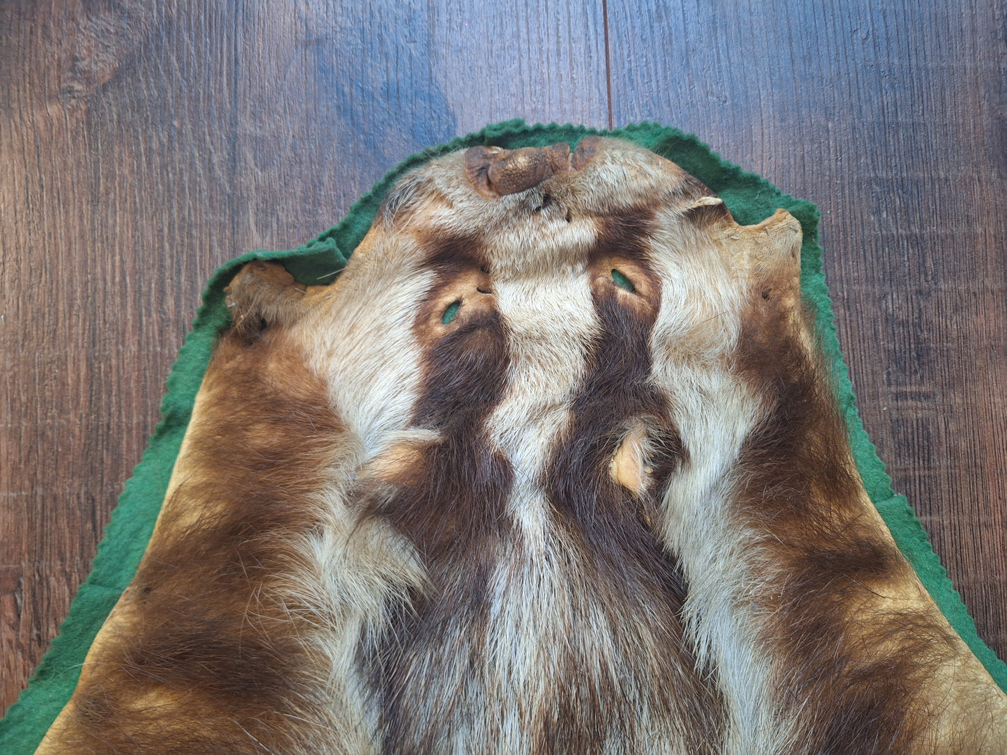 Vintage badger hide preparation