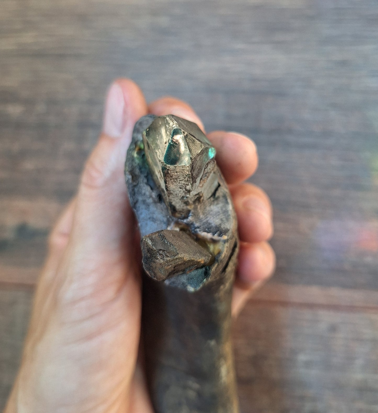 Old Nepalese shamanic horn stick #4