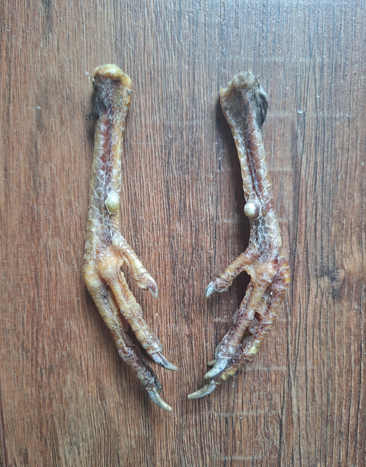 Chicken lower legs, set of 2