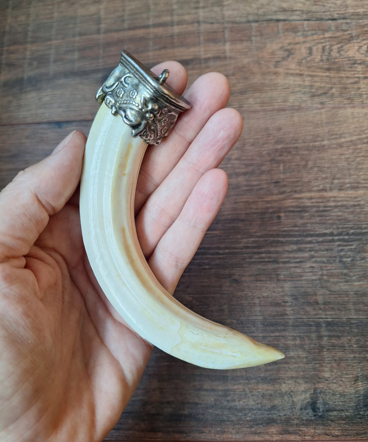 Vintage Nepalese wild boar tusk pendant
