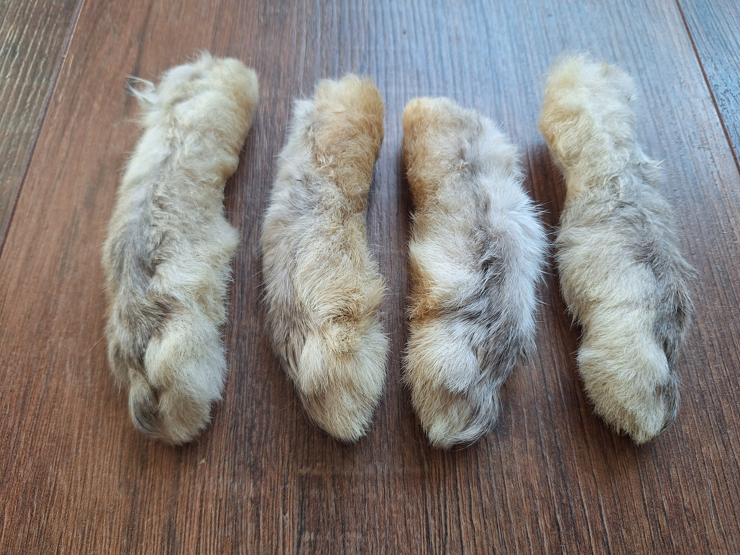 Rabbit paws, set of 4