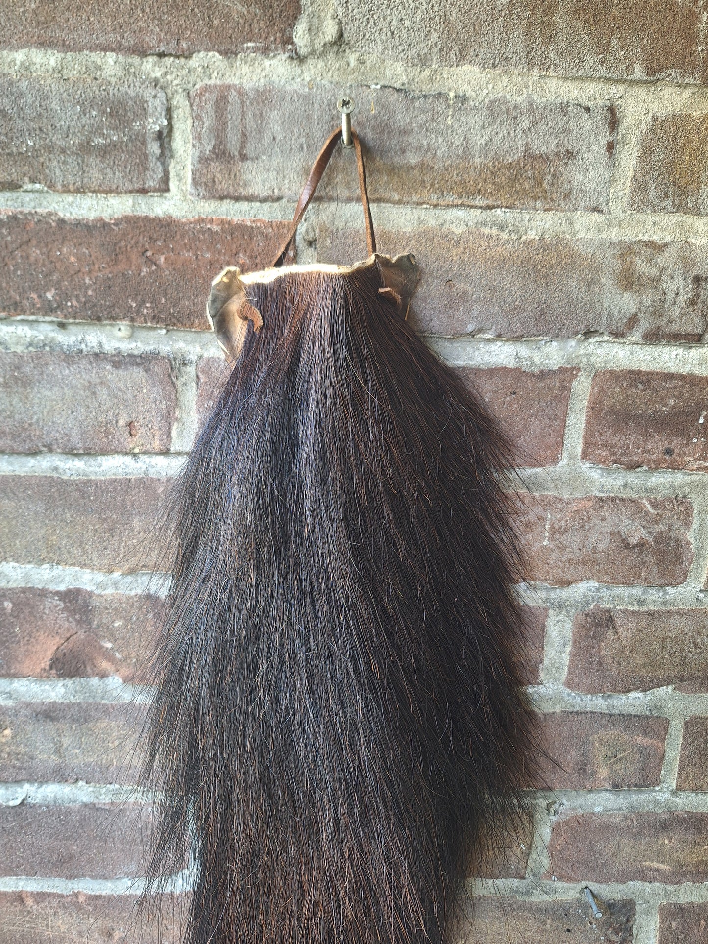 Horse tail #7, complete tail