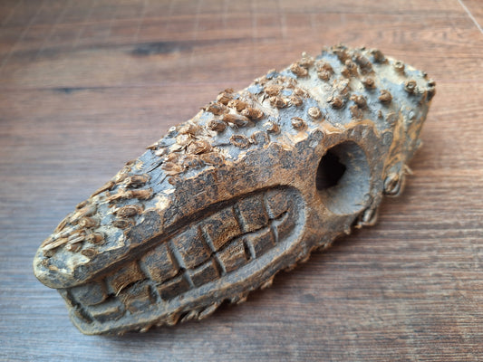 Nepalese palm tree root mask #8