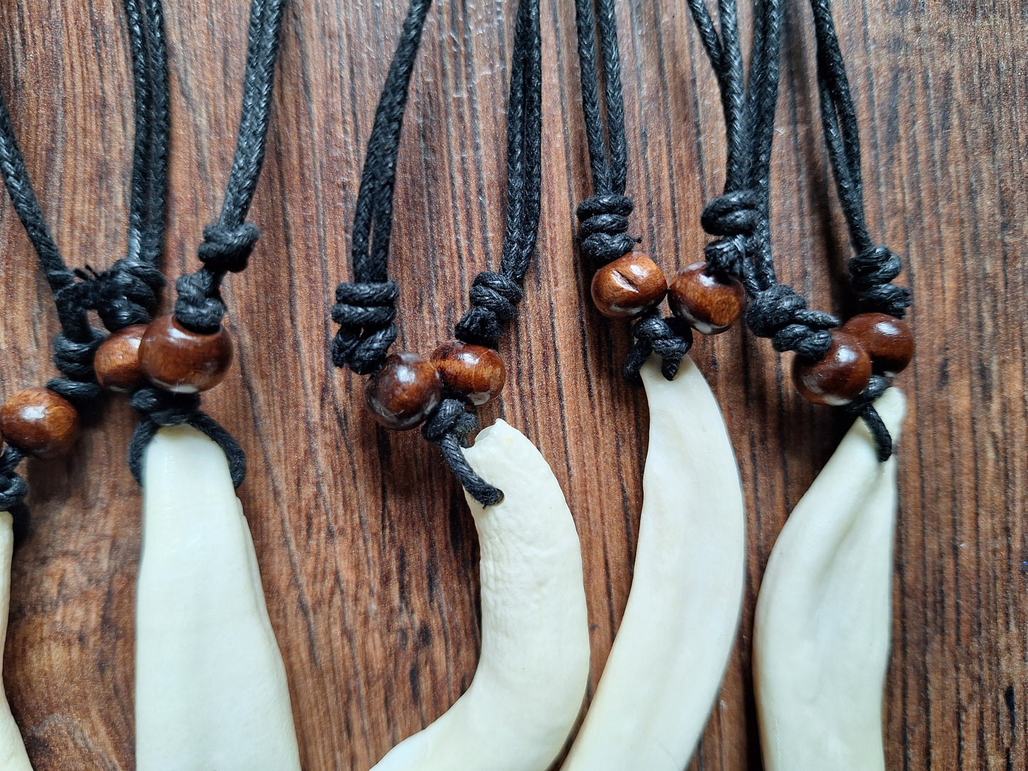 Camel tooth necklace