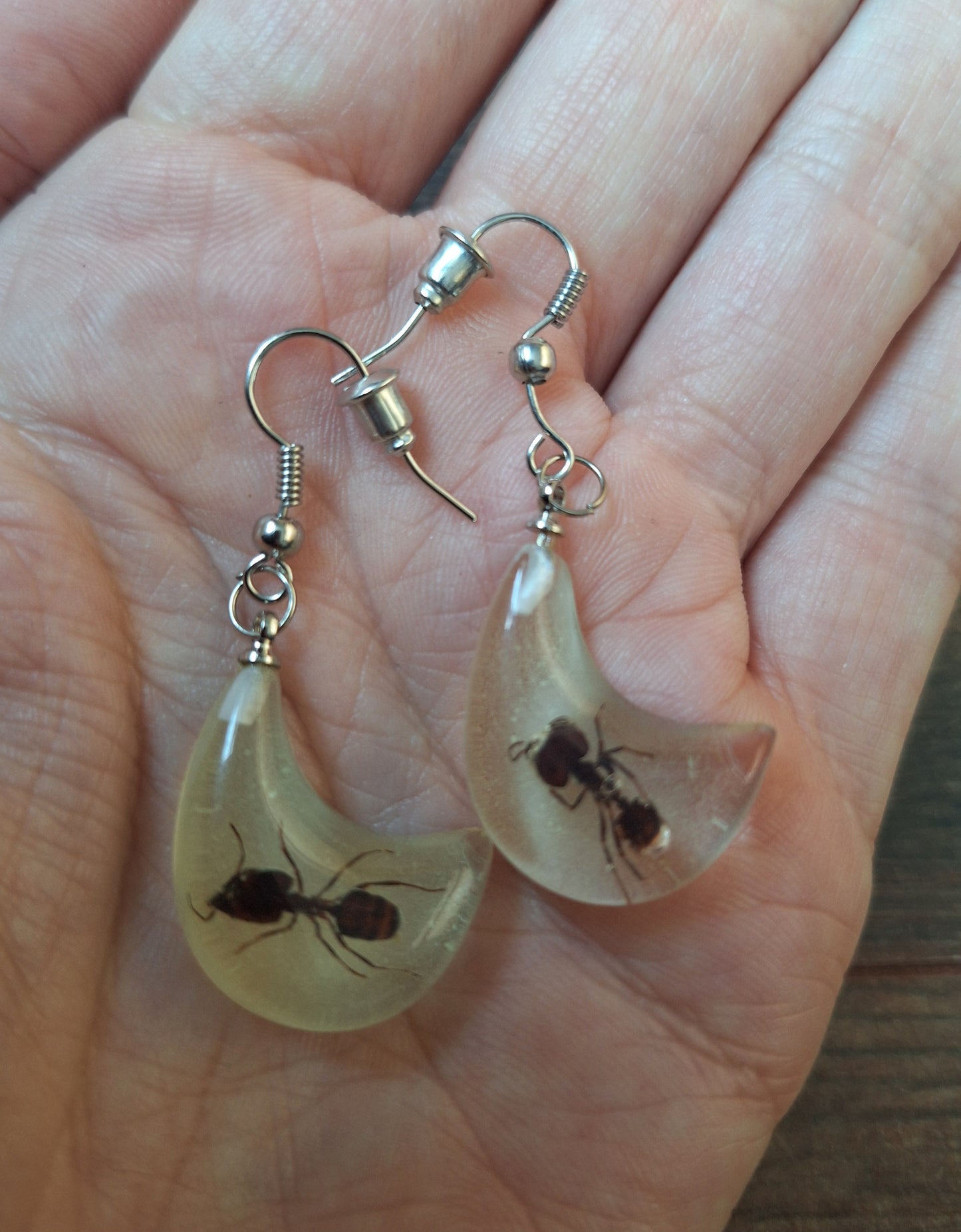 Ants in glow-in-the-dark resin earrings