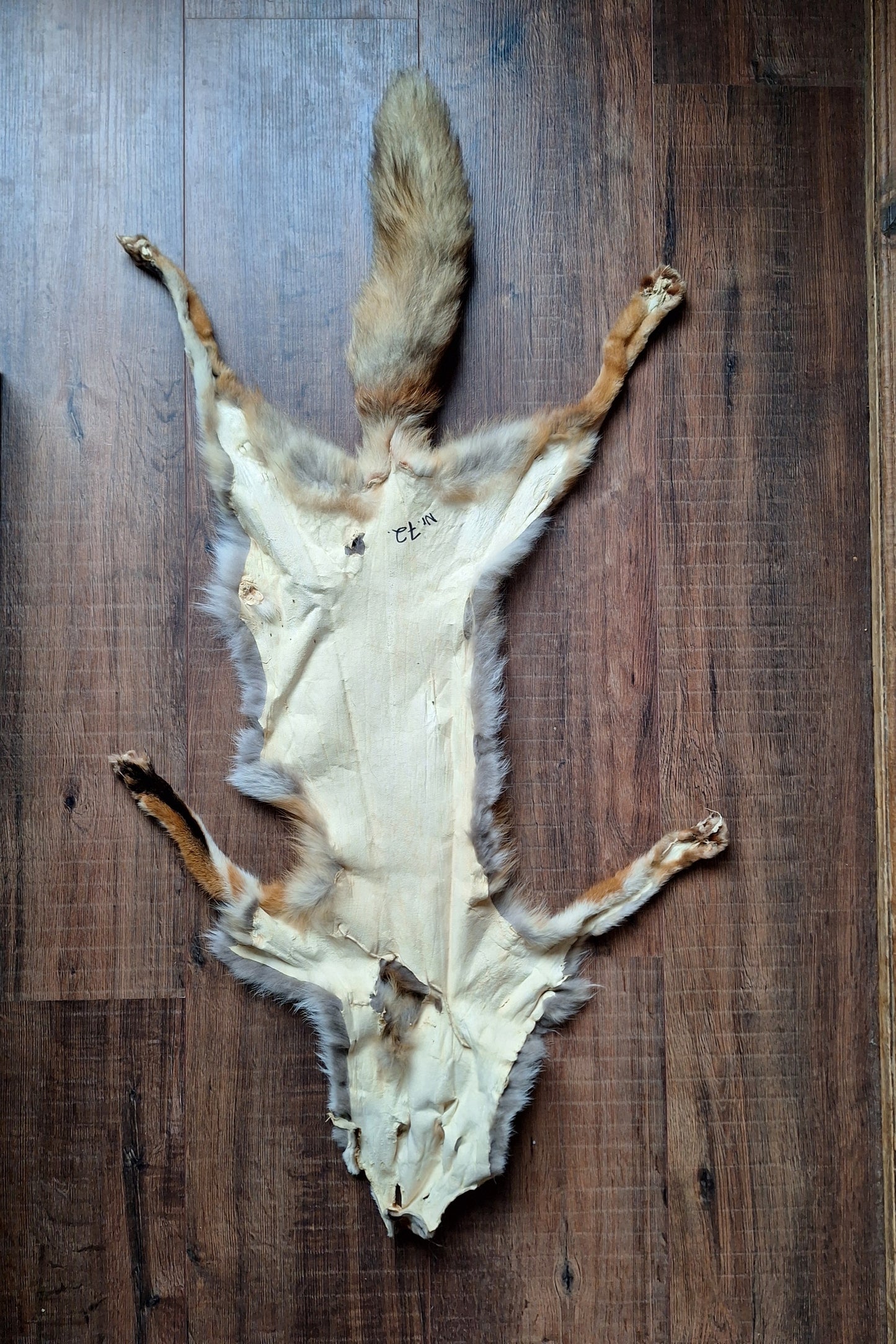 Red fox hide #28, B-quality