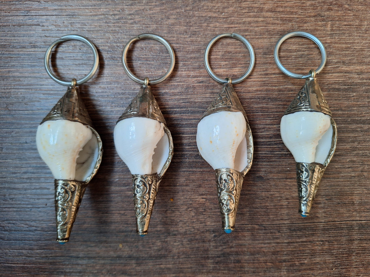 Conch shell keychains