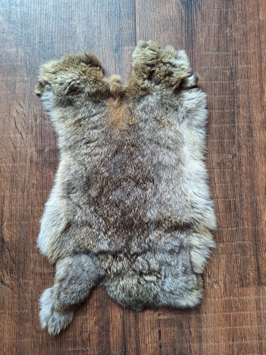 Rabbit hide #10