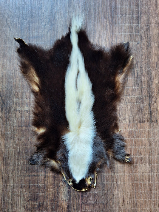 Skunk hide #6