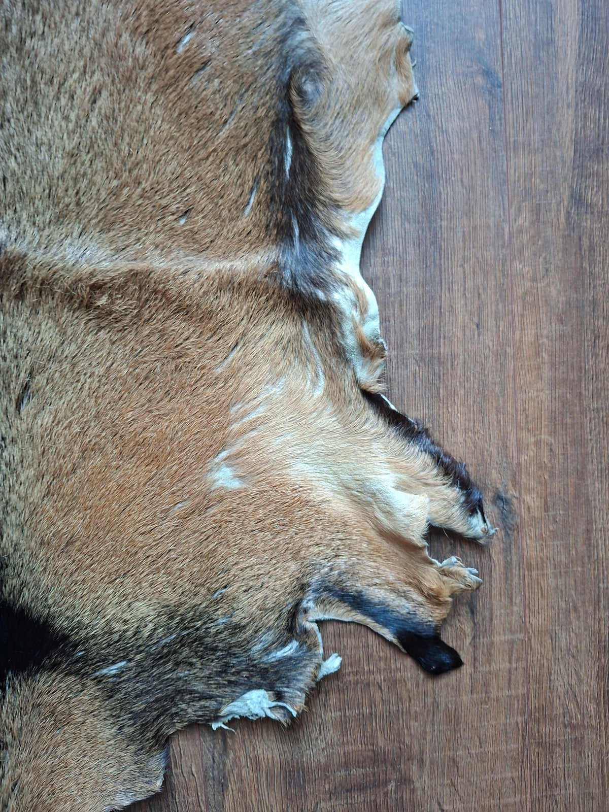 Goat hide, B-quality