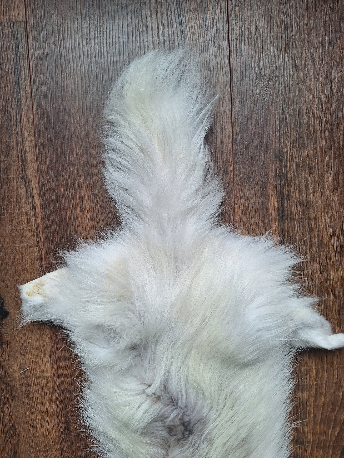 Polar fox hide, B-quality