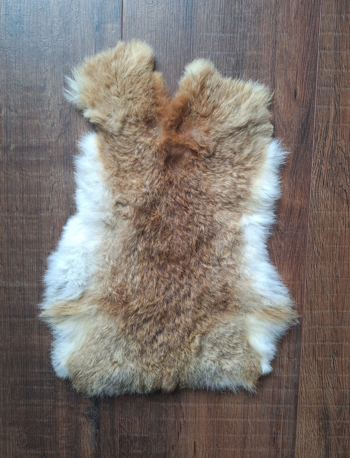Rabbit hide #14