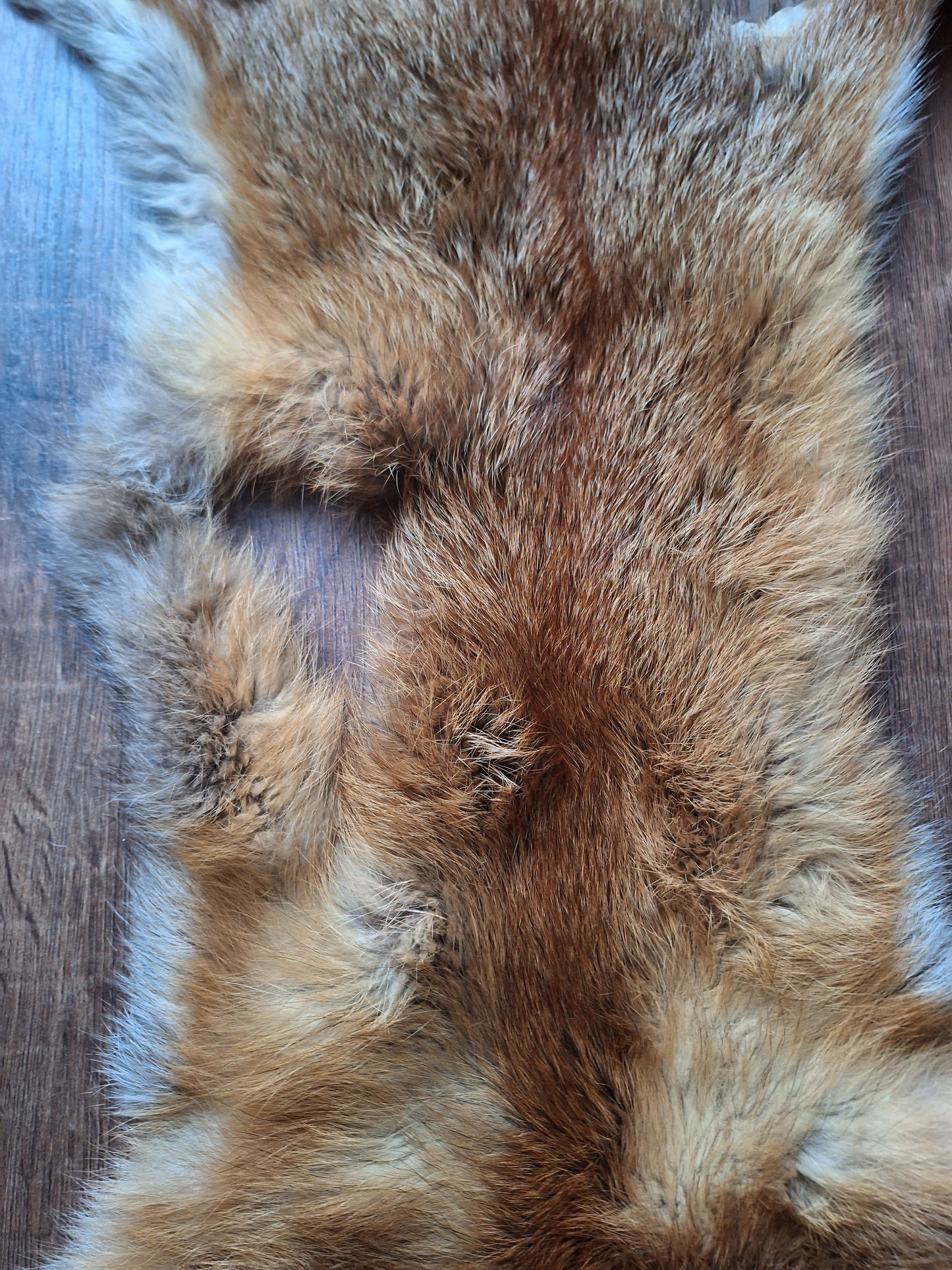 Red fox hide #29, B-quality