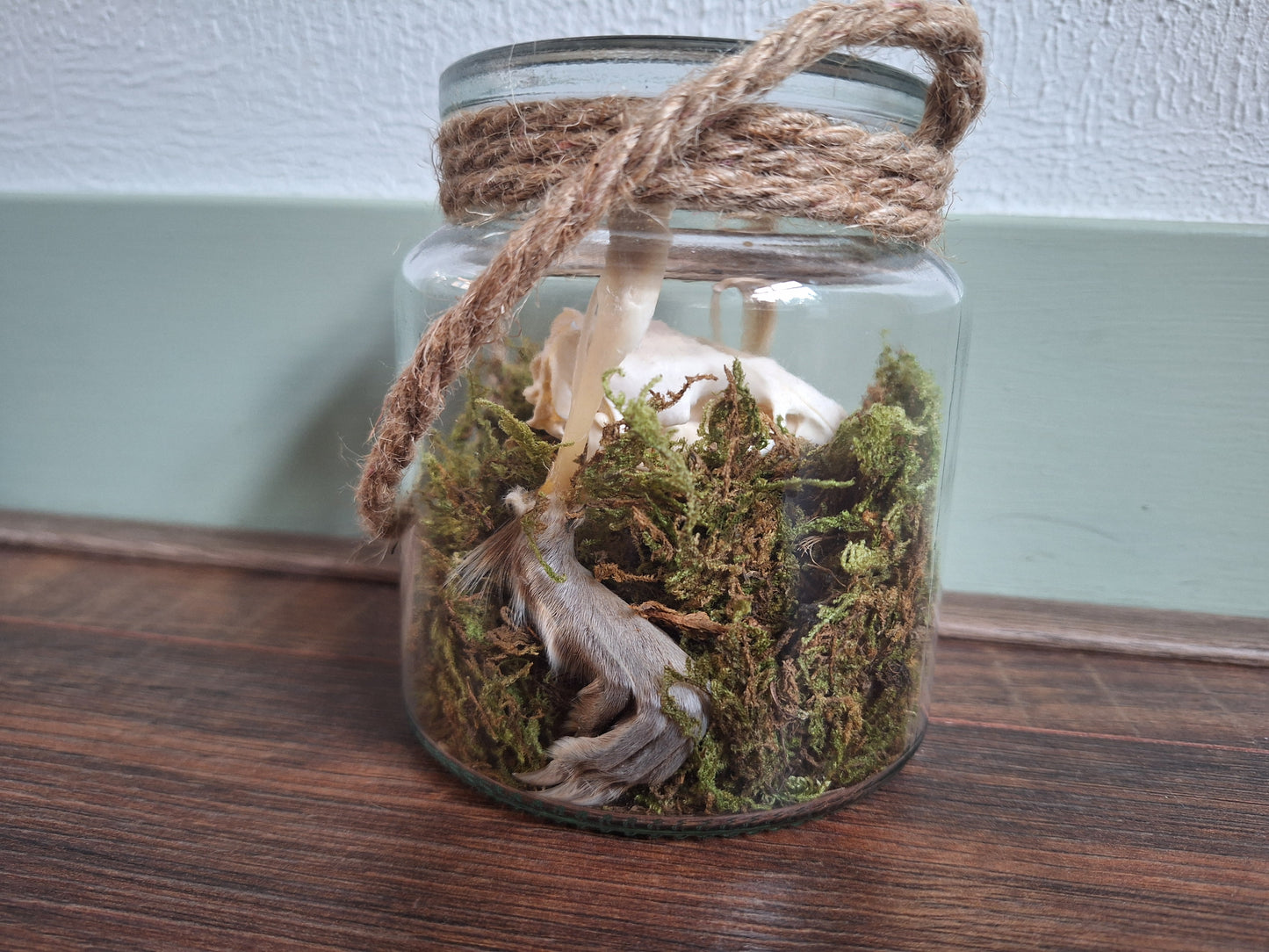 Musk rat set in glass jar