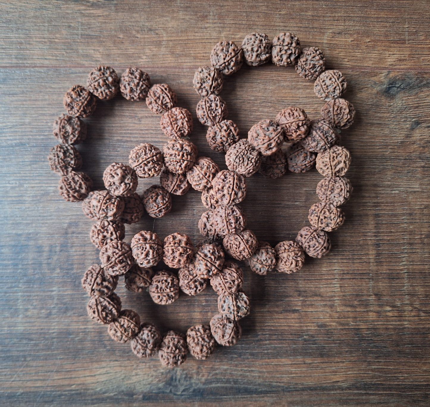 Rudraksha bracelets 6 mukhi