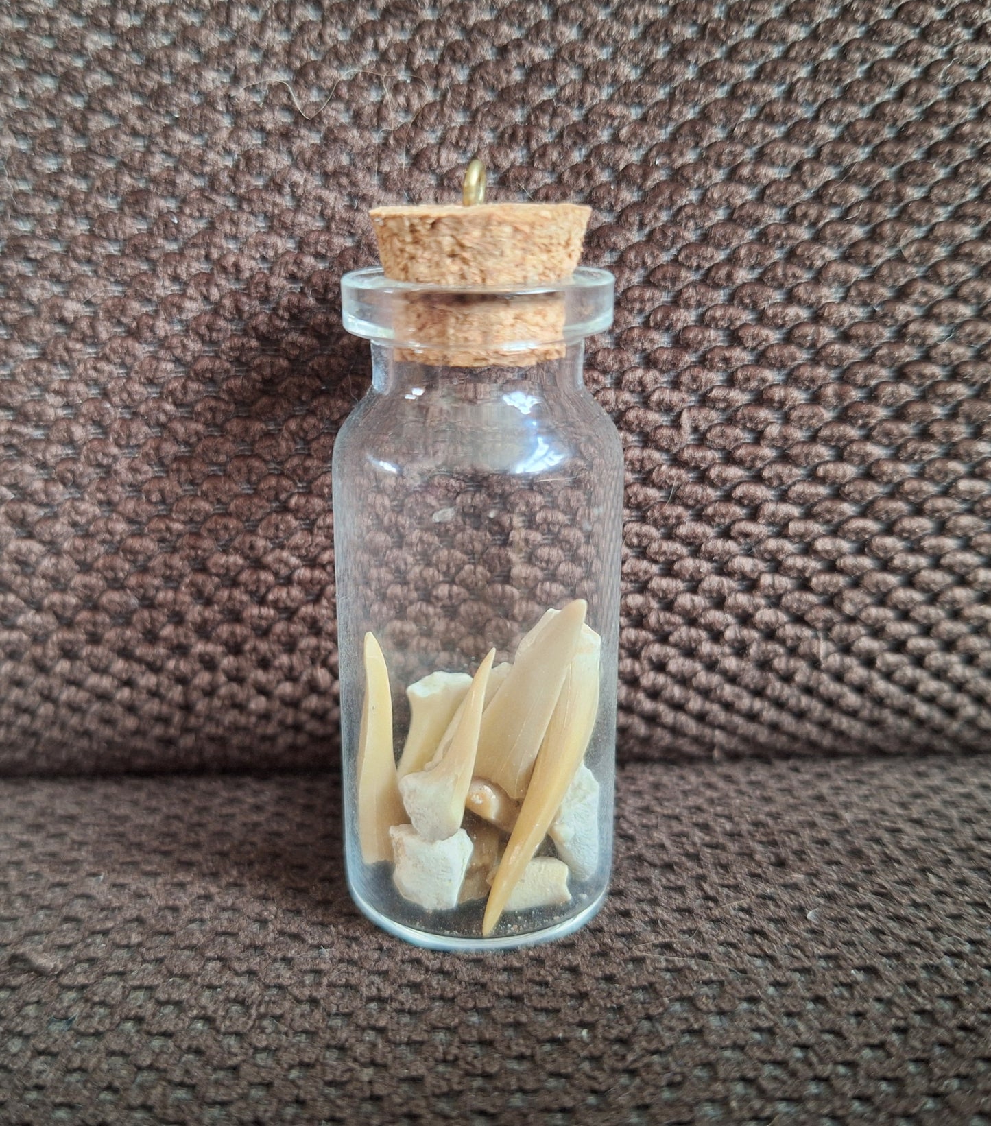 Shark teeth bottle