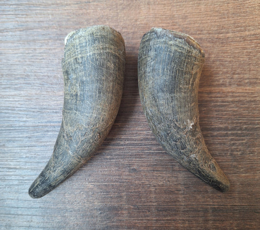Cow horn set