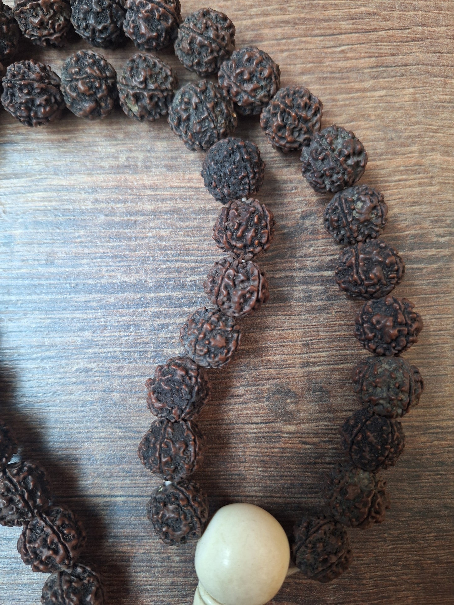 Vintage Nepalese rudraksha mala with melong Auspicious Symbols