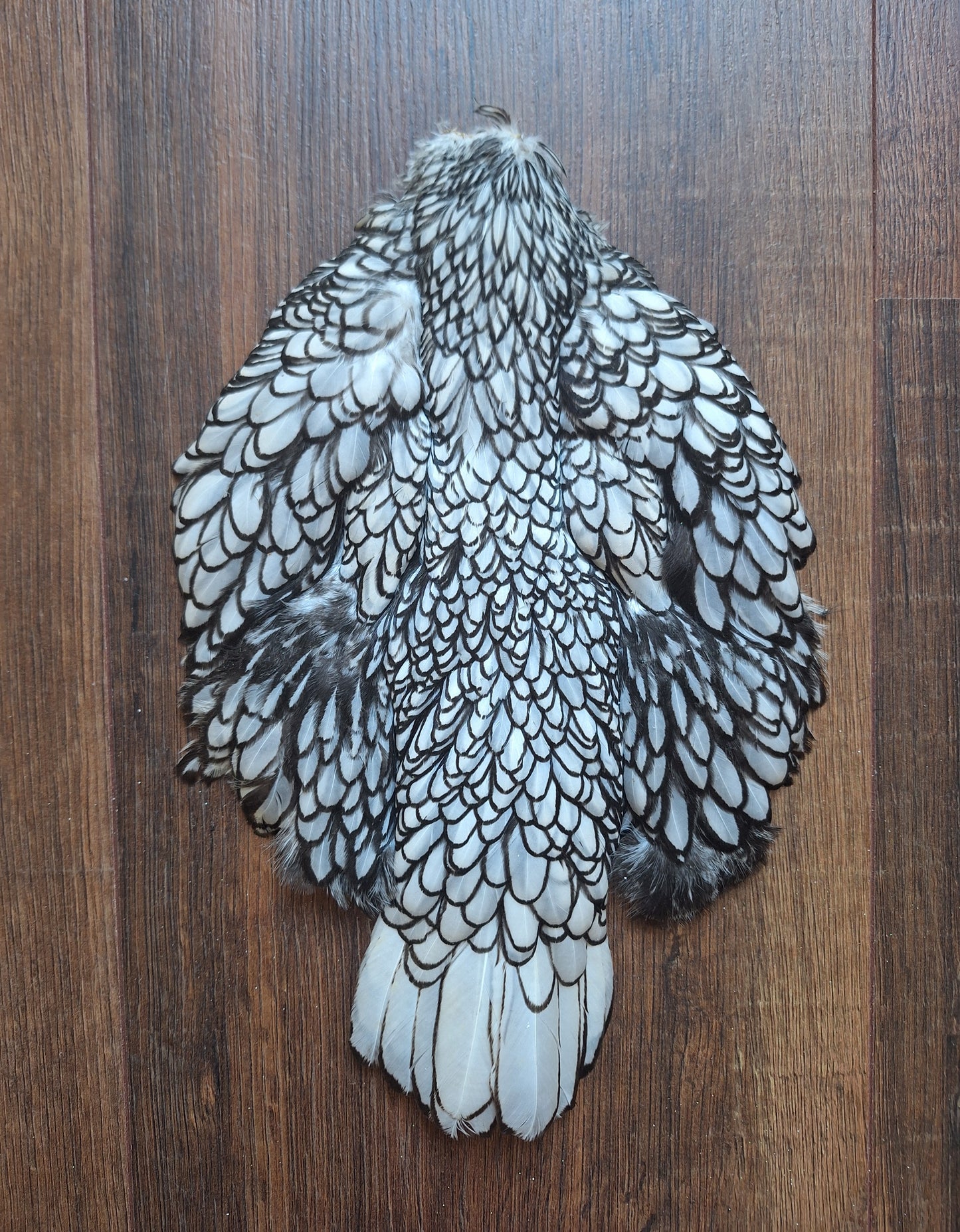 Chicken skin