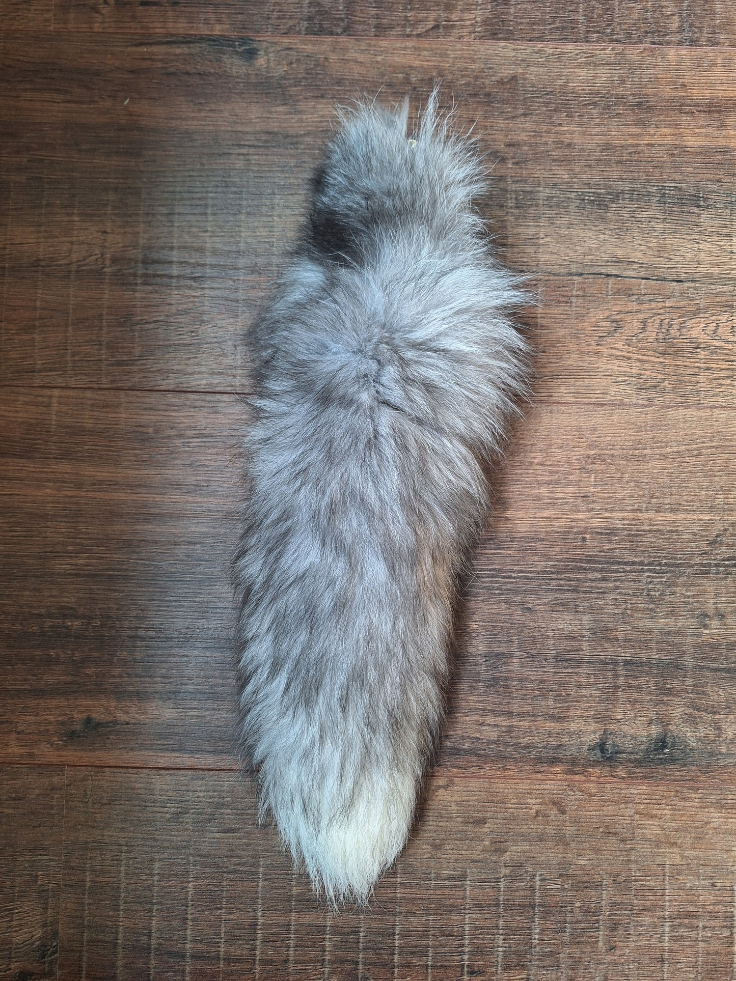 Painted silverfox tails