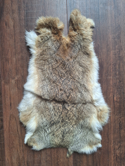 Rabbit hide #27