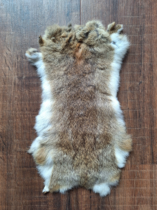 Rabbit hide #4
