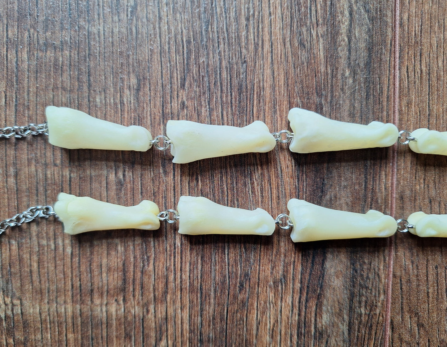Roe deer foot bones amulet necklace