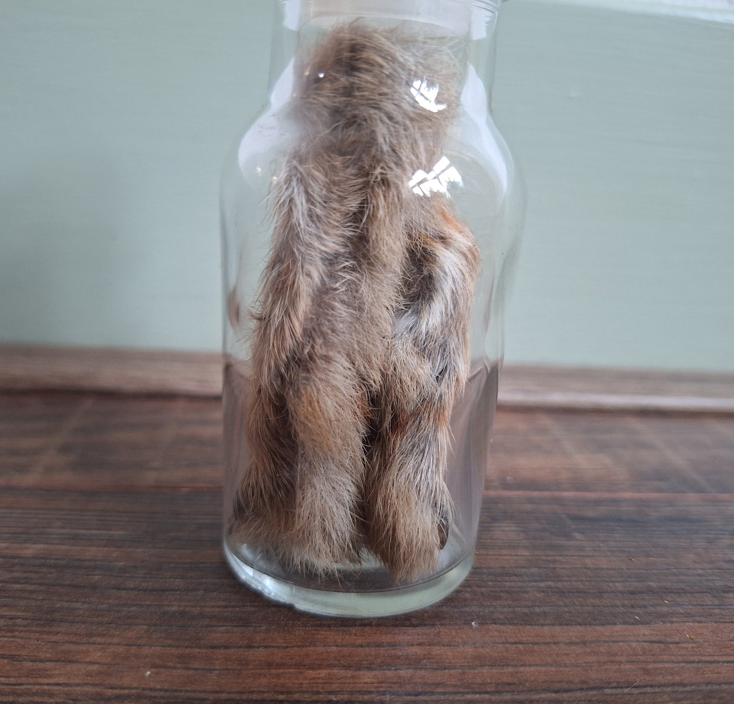 Hare paws, B-quality, in glass bottle