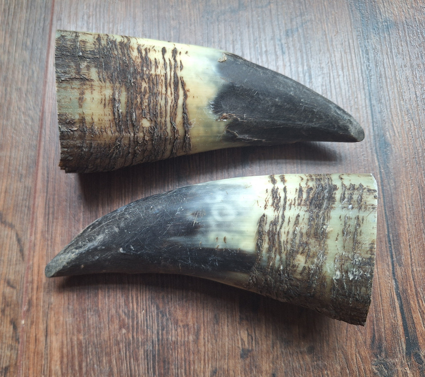Cow horn set