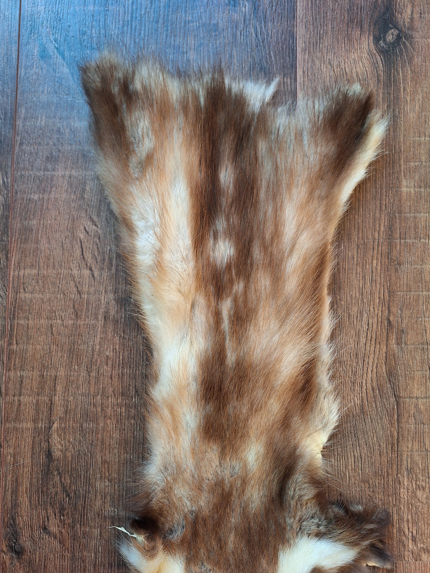 Stone marten hide #7, crafting piece