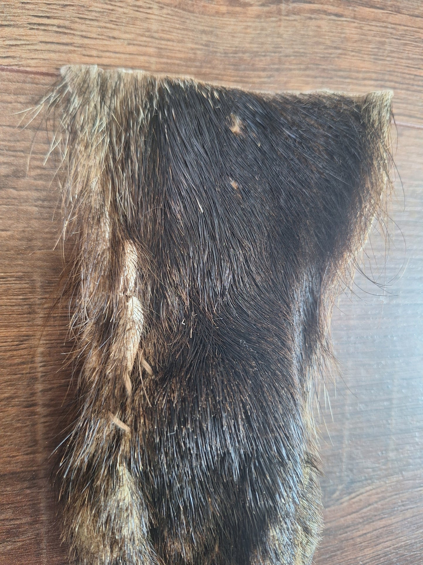 Wild boar lower leg hide, B-quality
