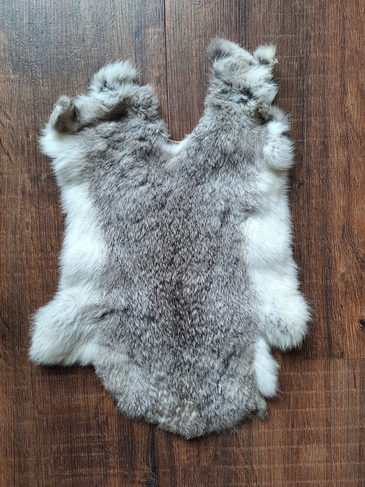 Rabbit hide #5