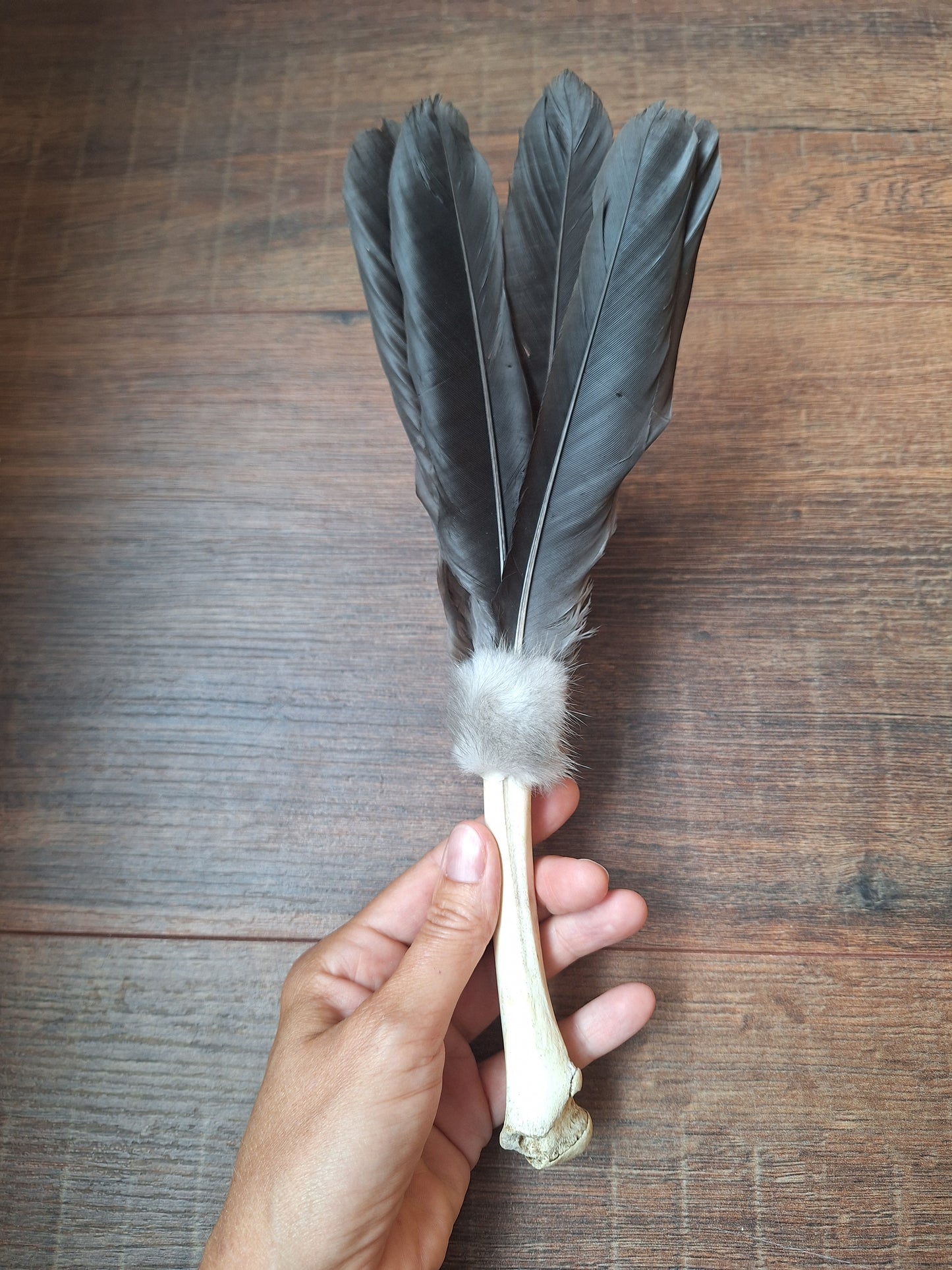 Bone feather fan Crow