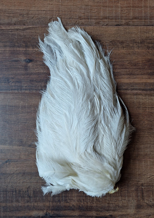 Nandu wing piece, large