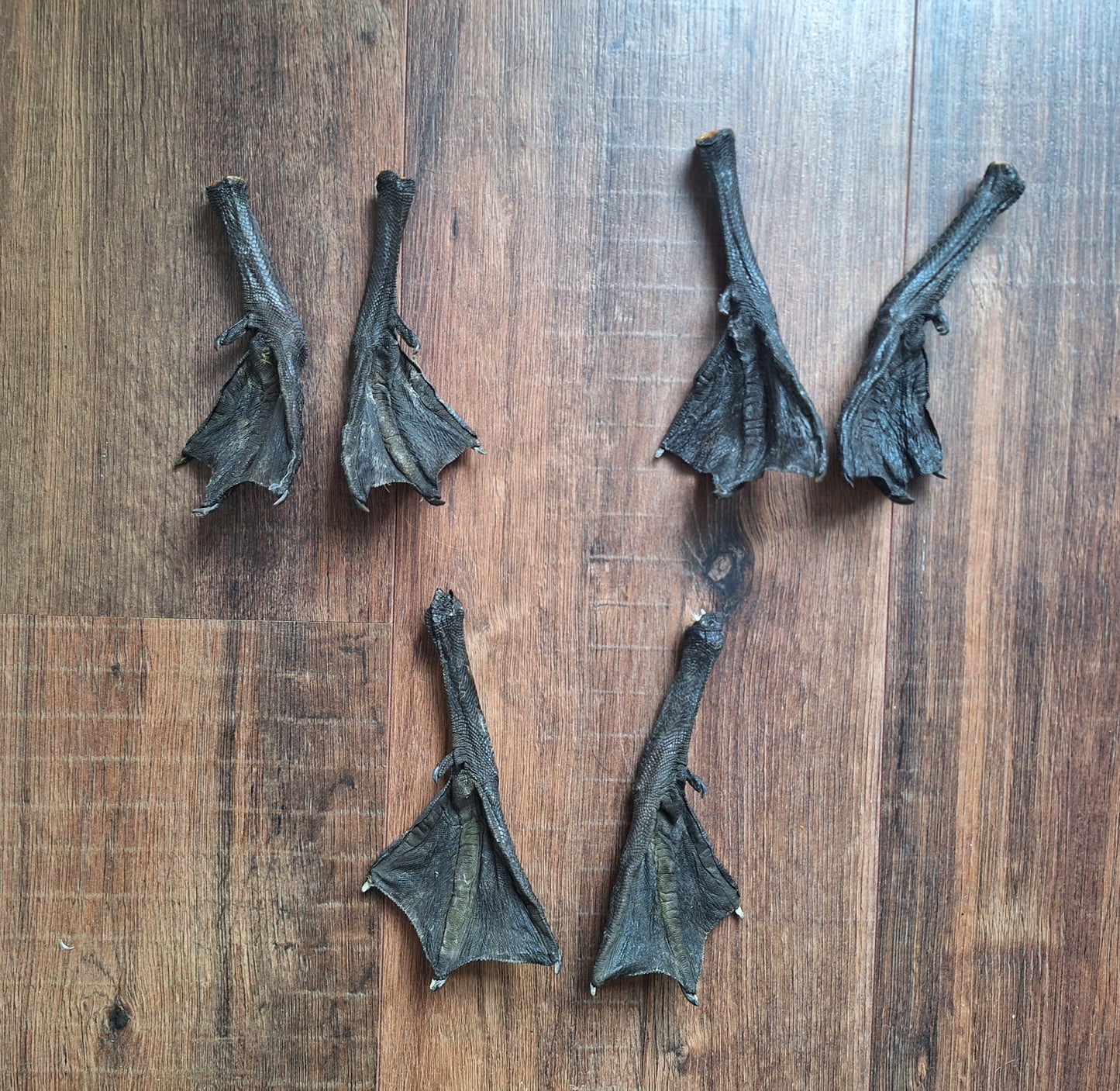 Barnacle goose lower legs, set of 2
