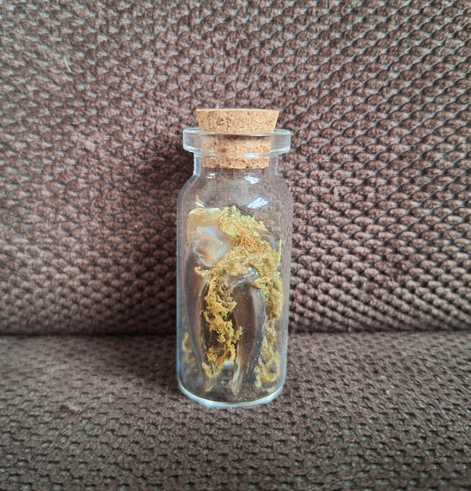 Badger nails bottle