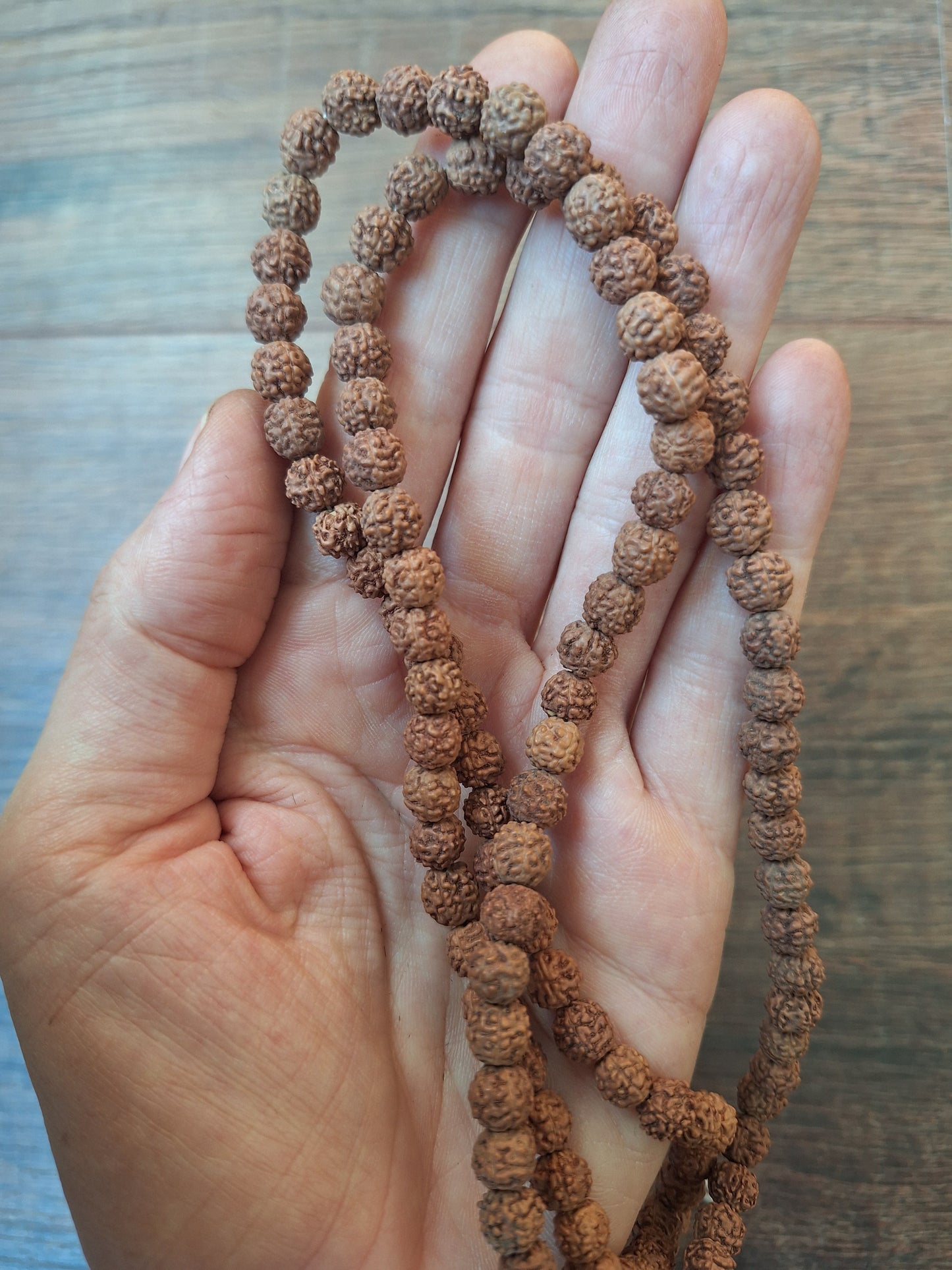 Rudraksha bead strand
