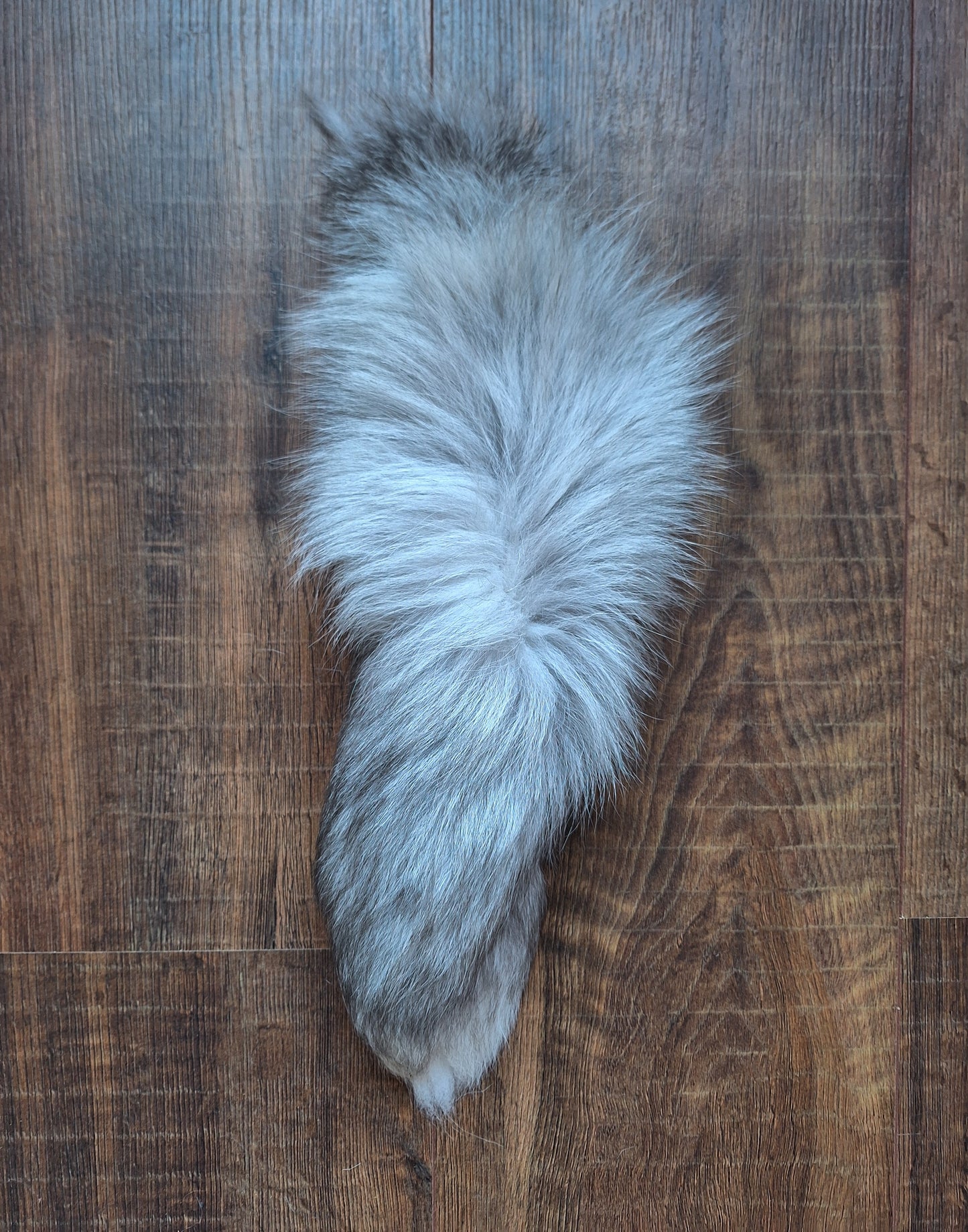 Painted silverfox tails